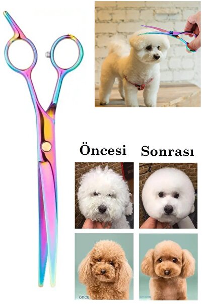 xolo Kavisli Rainbow Petshop Kuaför Kedi Köpek Evcil Hayvan Makası Saç Şekil Verme Makası Xlq510