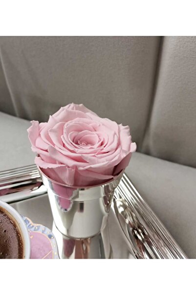 MELT HOME DESİGN Gümüş Mini Vazo