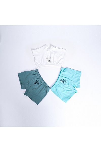Coco & Bamboo Men's Boxer Set of 3