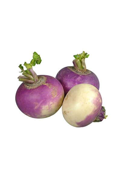 Ziraat Evim Yerli Şalgam Turp Tohumu 100 Adet