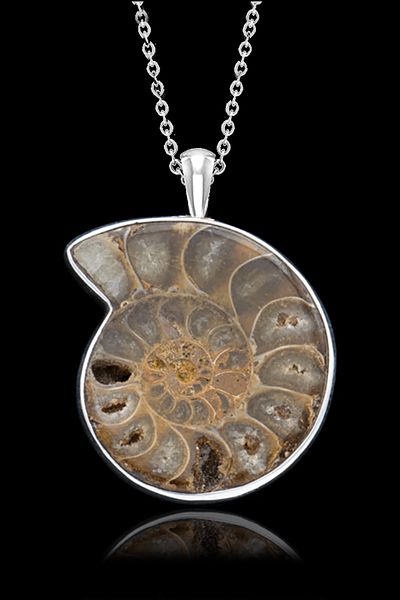 Tesbih Atölyesi Certified Ammonite Fossil Natural Stone Necklace - Aaa+ Quality