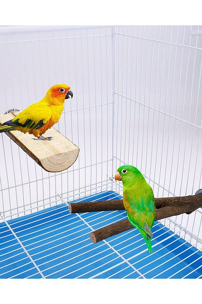 Alyones Natural Wood Bird Perch Stand - Multi-Branch Perch with Tree and Fork Perch
