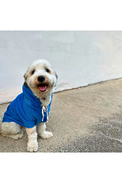 Patte Zone Shark Blue -Kanguru Cepli Kedi-Köpek Polar Hoodie Sweatshirt