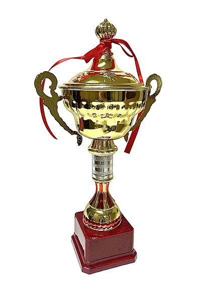 AVESSA 45 cm Brown Floor Cover Gold Plated Trophy Metal Award Trophy Suitable for All Sports Branches