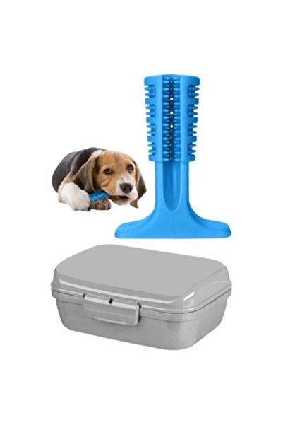 BE ACTİVE Dog Toothbrush Biting Device Teeth Scratching Toy Small Size (Green)