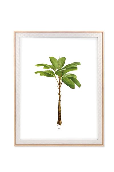 The Mia Retrato Photo Frame White 40x50 cm