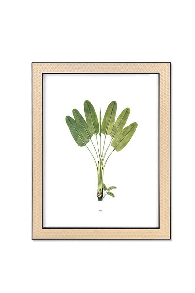 The Mia Vimini Photo Frame Black 30x40 cm