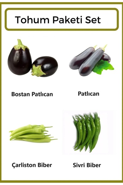Ziraat Evim Yerli Bostan Patlıcan- Patlıcan- Çarliston Biber- Sivri Biber Toh...