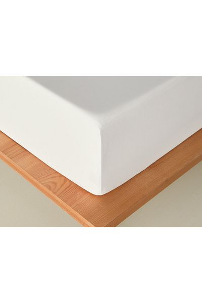 English Home Novella Premium White Soft Cotton Single Elastic Sheet
