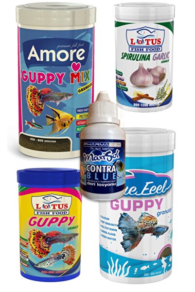 AMORE Tropikal, Canlı Doğuran, Lepistes, Tetra, Guppy, Flora, Vipangran Akvar...