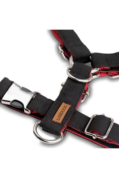 Lusi Doog Köpek Tasma Seti, Siyah Köpek Göğüs Tasması ve Köpek Gezdirme Halatı