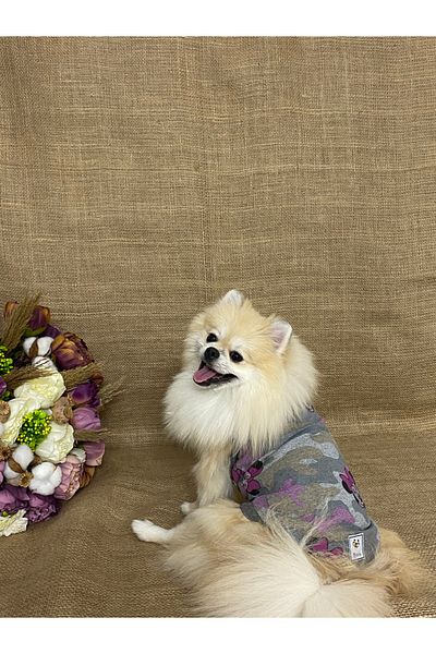 MARİA PET FASHİON Dog & Cat Outfit & Tank Top & Jumpsuit & Tracksuit