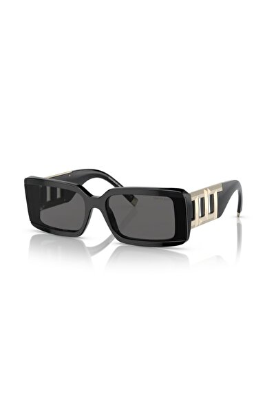 Tiffany 0TF4197 8001S4 62 Women's Sunglasses