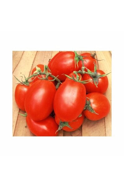 Ziraat Evim Yerli Sivri Domates (SALÇALIK DOMATES-RİO GRANDE) Tohumu 100 Adet