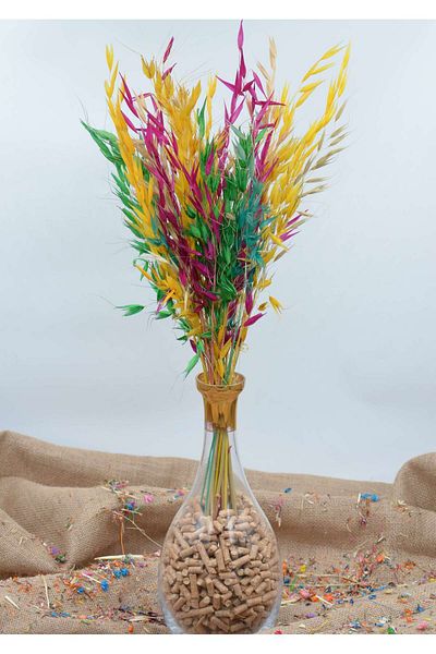 Dekora Çiçek Δώρο Dry Flower Avena - Στολίδι, Βάζο