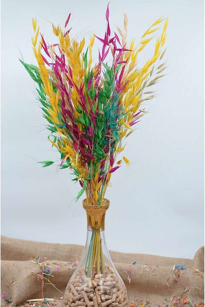 Dekora Çiçek Δώρο Dry Flower Avena - Στολίδι, Βάζο