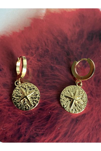 Pinery Jewels زوج من الأقراط المطلية بالفولاذ المقاوم للصدأ على شكل نجمة القطب