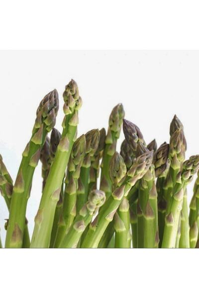 Floramut Çok Yıllık Kuşkonmaz Tohumu-50 Tohum