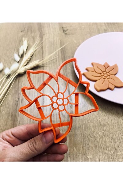 CESTOPİENO قالب كوكيز زهرة إديلويس