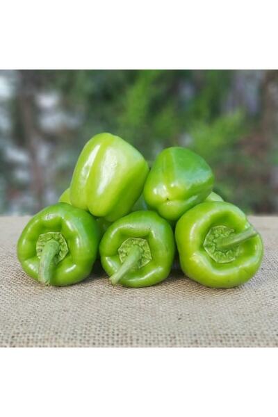 Ekodoğa Biber Tohumu 1 Paket (2800 Adet Tohum) Sebze Tohumu Dolmalık Biber To...