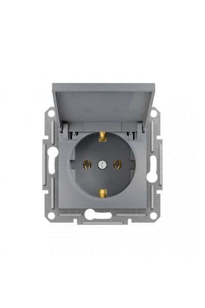 Legrand Titanium Rhubarb Covered Grounded Socket -768818