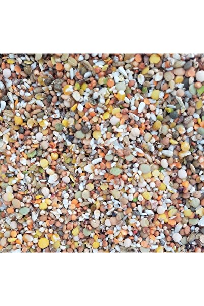 Ekodoğa Güvercin Yemi 3 Kg 10 Karışım Lüks Güvercin Yemi Performans Yemi Buğd...