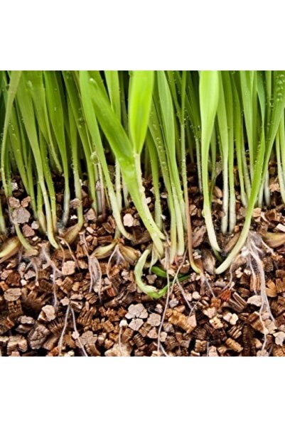 Doğalsan Tarım Vermikülit 10 Lt Organik Toprak Düzenleyici Tohum Çimlendirme ...