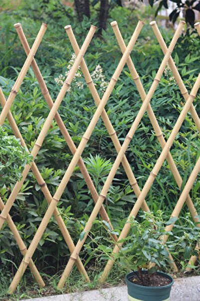 Binbirreyon Dekoratif Doğal Bambu Akordiyon Çit 60x180cm Ad010