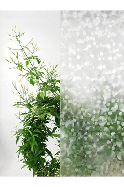 d-c-fix Transparan Cam Vitray Yapışkanlı Folyo 67,5cm X 1mt 200-8214