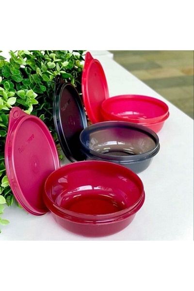 Tupperware Refrigerator Storage Containers 300 ml - Set of 3