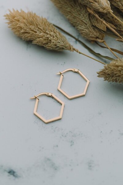 Talas Kuyumculuk 14 Ayar Altın Altıgen Küpe