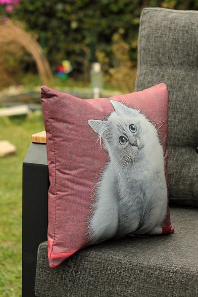 New Old Throw Pillow - Pillow (100% Woven-not Print) - 37cm X 37cm - Inner Pillow Included - With Cat