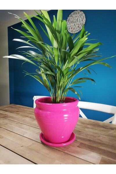 Balcony Flower Orta Boy Çömlek Saksı