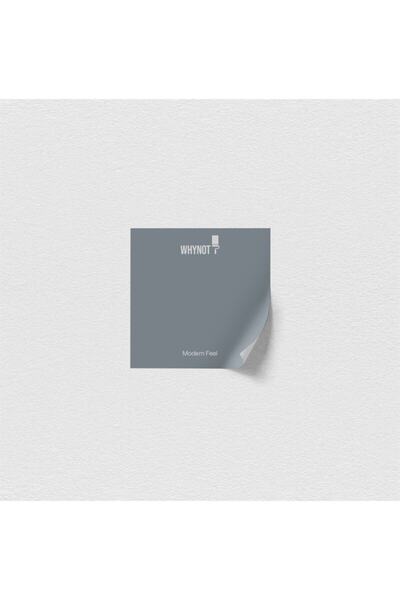 WHY NOT Duvar Boyası Modern Feel 2.5LT