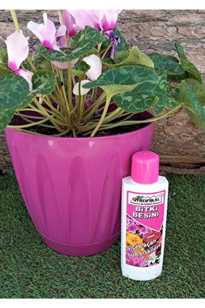 Ekodoğa Bitki Besini 1 Adet 225 Ml Çiçekli Bitkilere Özel Çiçek Açtıran Sıvı ...