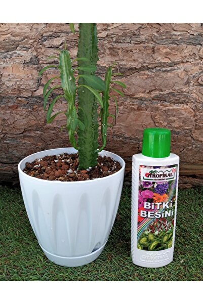 Ekodoğa Bitki Besini Tüm Bitkiler Için Sıvı Bitki Besini Gübre Genel Amaçlı 1...