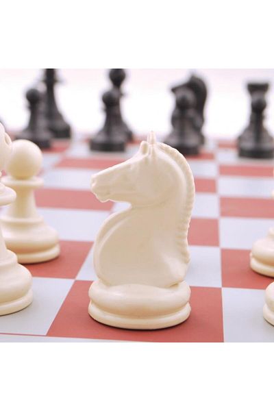 Brother Toys Roll Chess Set with Bag