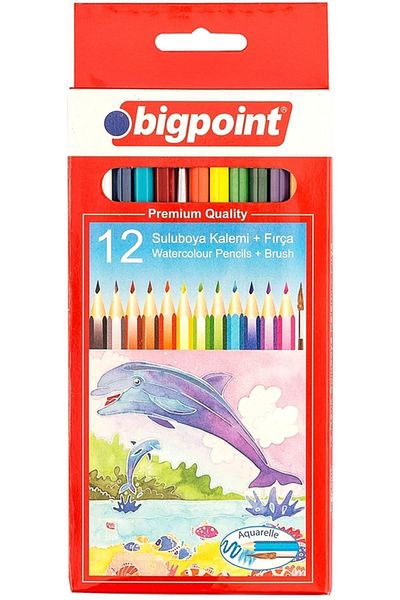 Bigpoint أقلام تلوين أكواريل 12 لونًا مع فرشاة
