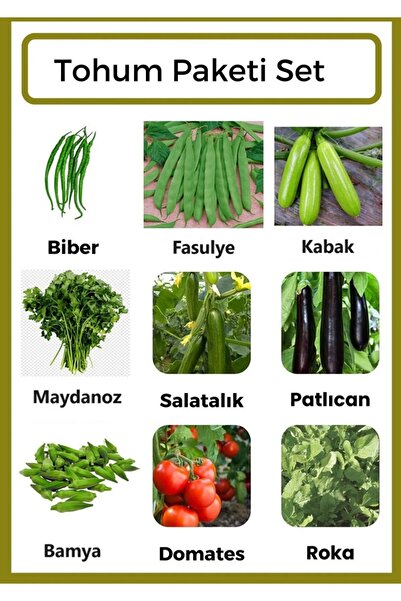 Ziraat Evim Biber-Fasulye-Kabak-Maydanoz-Salatalık-Patlıcan-Bamya-Domates-Rok...