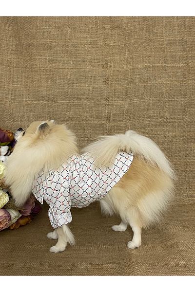 MARİA PET FASHİON Dog Cat Clothes & Dress & Shirt