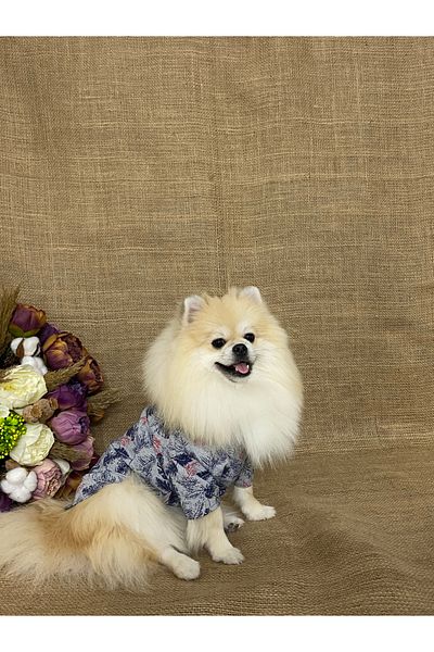 MARİA PET FASHİON Dog Cat Clothes & Dress & Shirt