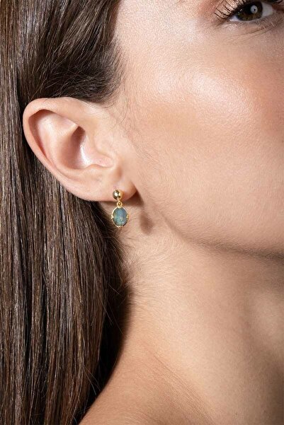 Takıdepo Labradorit Taşlı Minimal Gümüş Kadın Küpe-Altın Rengi