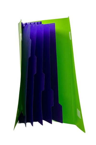 Kobest A4 VECLE 5 COMPARTMENT BRIEFCASE - GREEN - PURPLE