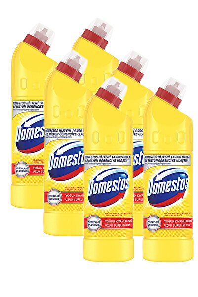 Domestos Lemon Freshness Bleach 750 Ml, 6 Pieces