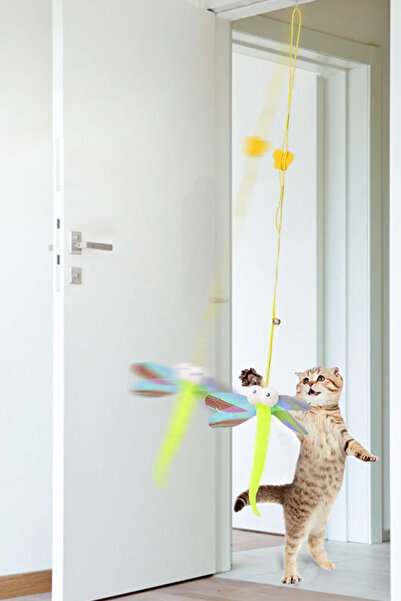 TechnoStation صنارة صيد القطط المرنة ذاتية اللصق وغير الضارة للصحة