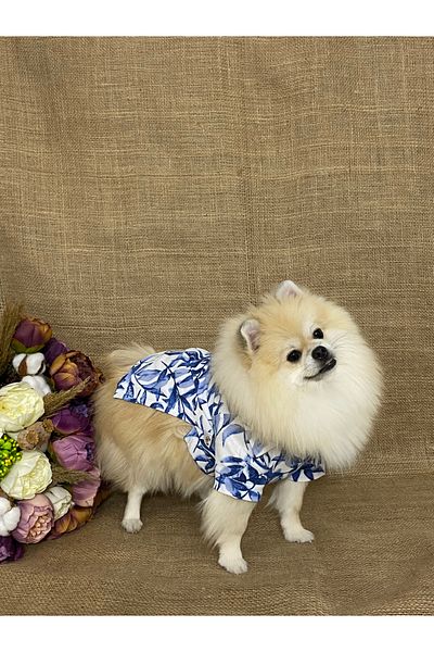 MARİA PET FASHİON Dog & Cat Clothes & Athlete & Polo Collar T-Shirt