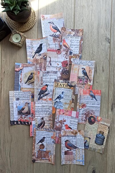 Mona Craftist 15 Adet Eskitme Vintage Kuş Temalı Scrapbook Kağıt Seti Bullet ...