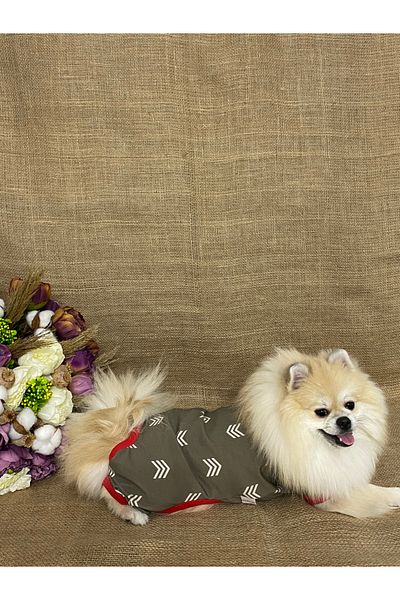 MARİA PET FASHİON Dog & Cat Outfit & Jumpsuit & Tracksuit