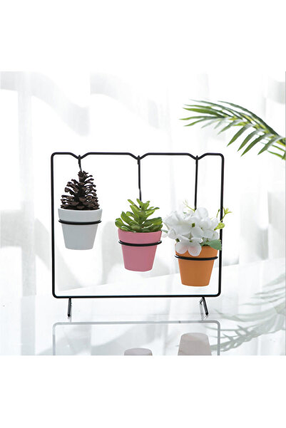 Miniminti Siyah Ayaklı 3lü Salıncak Kaktüs Saksısı