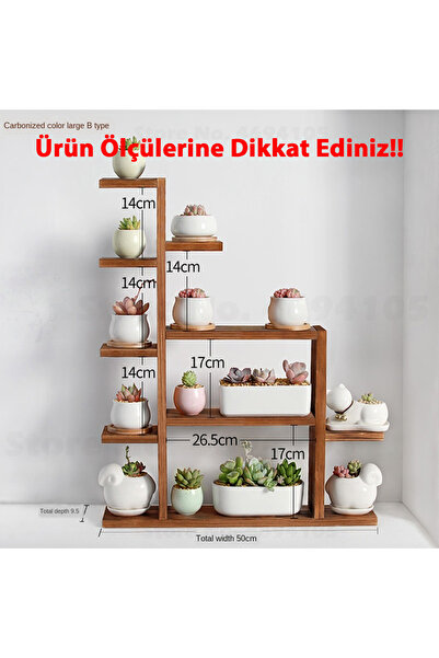 Tiydem Ahşap Masaüstü Pencere Önü Rafı / Skulent, Kaktüs Saksı Rafı/ Ahşap Çi...